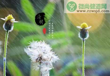 清明节发朋友圈怎么说 2019清明节的朋友圈说说