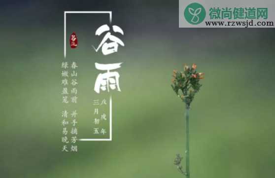 谷雨有什么风俗 各地谷雨节