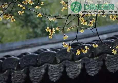 谷雨节气的古诗词 谷雨最美