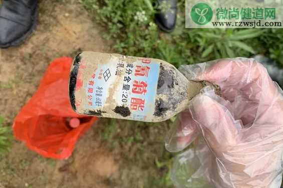 熊孩子毒死小龙虾怎么回事 熊孩子毒死小龙虾结果怎么样