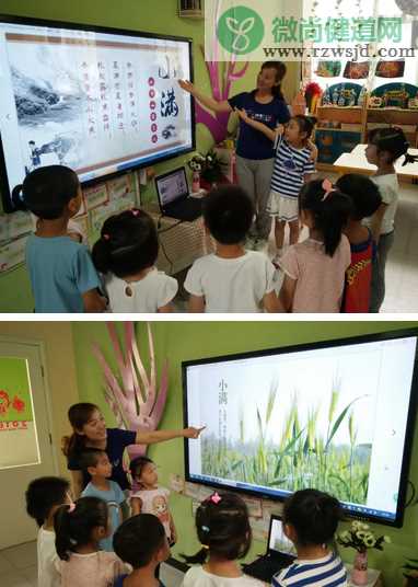 2019幼儿园小满活动报道 幼儿园小满活动新闻稿六篇