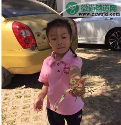 2019幼儿园小满活动报道 幼儿园小满活动新闻稿六篇