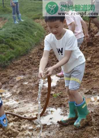 2019幼儿园小满活动报道 幼儿园小满活动新闻稿六篇