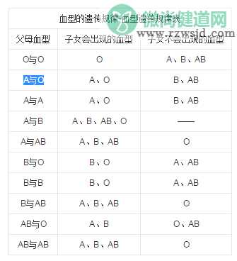 丈夫O型妻子A型生出B型血的