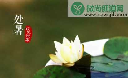 2019处暑祝福语大全 处暑朋友圈问候祝福语