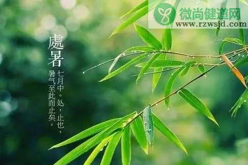 处暑节气的含义是什么 处暑的谚语有哪些