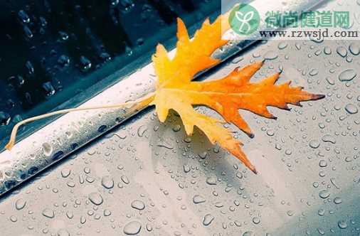 关于秋雨的心情说说句子 秋雨带字唯美图片