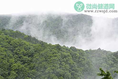 九月下雨天的心情说说 下雨天的朋友圈句子