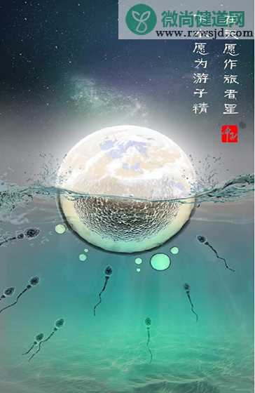 2019中秋节各大品牌优秀文案海报 2019中秋节品牌借势海报集锦