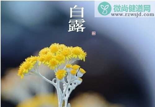 2019白露节气早安朋友圈说说问候语 2019白露朋友圈早安说说短句