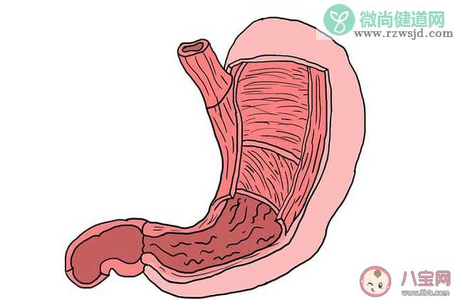 吃播主播的胃比普通人的更大吗 大胃饮食有什么危害