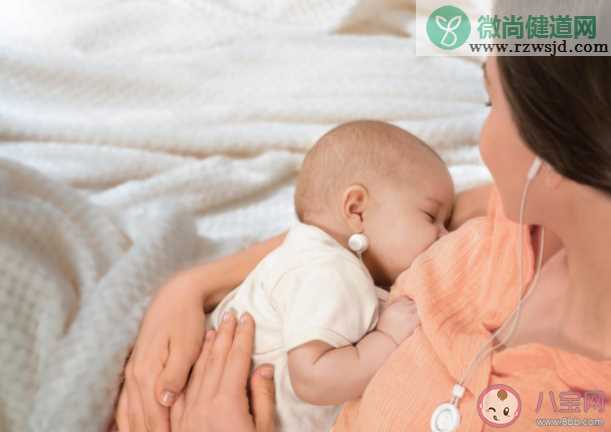 一个乳房到底能产多少毫升奶