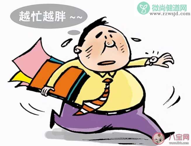 人为什么会越累越胖 上班族