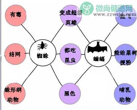 孩子思维导图怎么画 思维导图画法大全