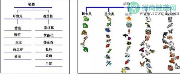 孩子思维导图怎么画 思维导图画法大全