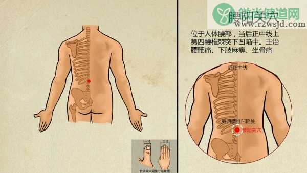 陈退翁与《伤寒针灸穴解》