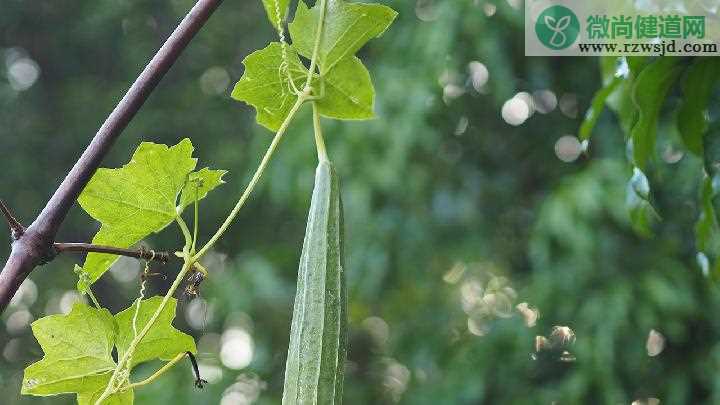 冬天吃红薯有什么好处? 冬天