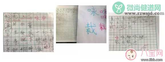 孩子对写字有书写障碍怎么办 怎么教孩子正确的写字