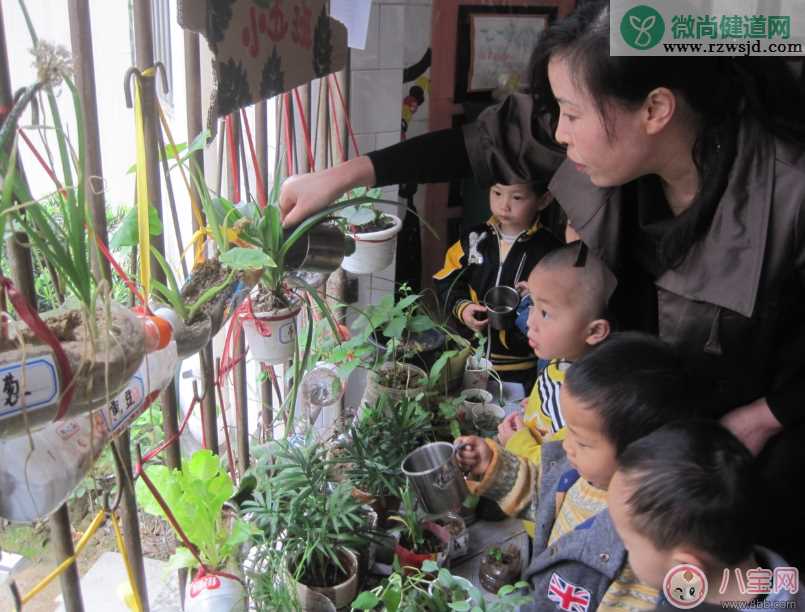 夏季带孩子养植物养什么植物好 和孩子养植物成长快