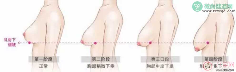 你的胸部大小正常吗  不同阶段的女性乳房尺寸不同