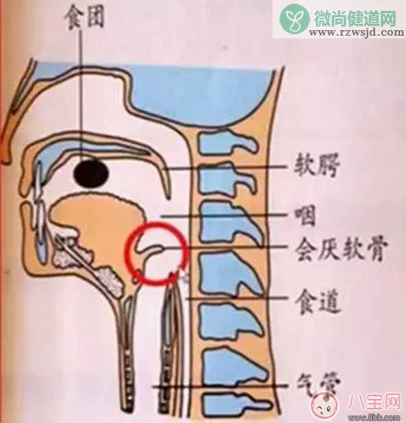 宝宝吃饭时爸爸的这个举动 险些让他送命！