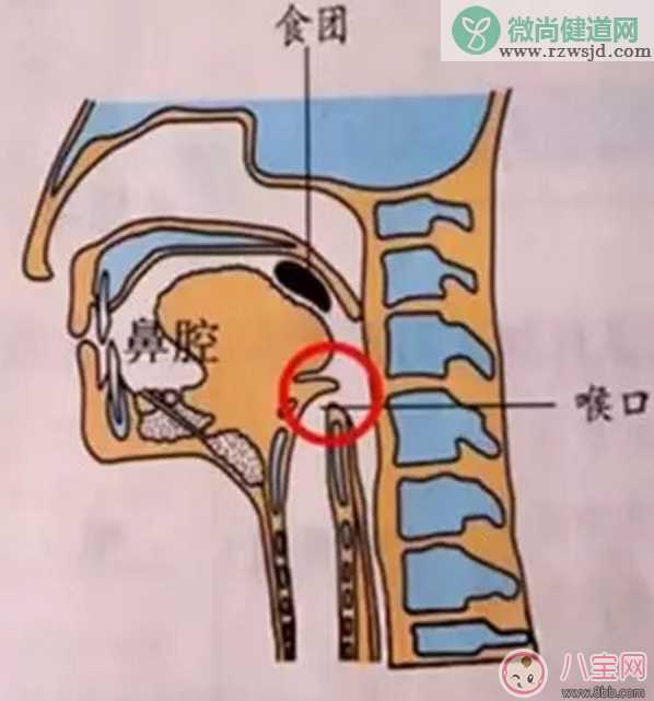 宝宝吃饭时爸爸的这个举动 险些让他送命！