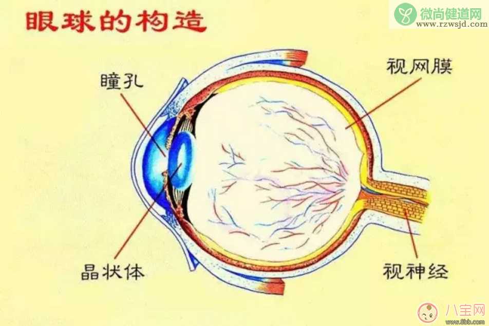 宝宝看电视的影响 如何规定宝宝看电视的时机