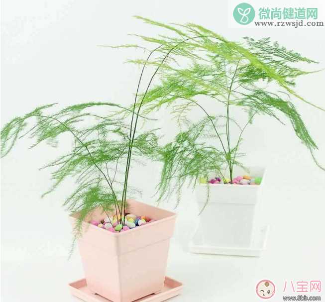 教师节送花只知道康乃馨怎么行 2017最适合送老师花推荐