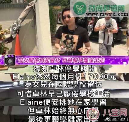 成龙女儿再次离家出走 单亲