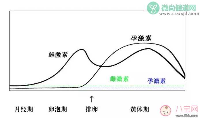 来月经喂奶宝宝有害吗 来月