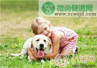 如何预防宝宝狂犬病 幼儿被