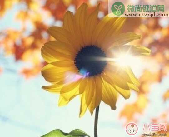 情人节收到礼物的心情说说 收到礼物惊喜的心情句子