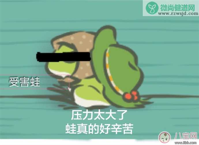 活的还不如一直青蛙是什么梗 活的还不如一直青蛙从哪来的