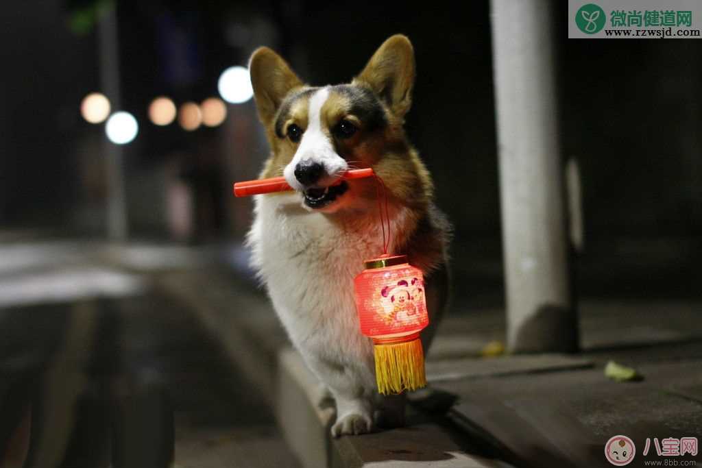 2018元宵节精美祝福语推荐 2018元宵节应该怎样过