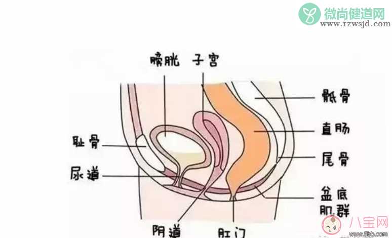 产后三个月漏尿需要治疗吗 如何进行盆底肌肉的康复训练