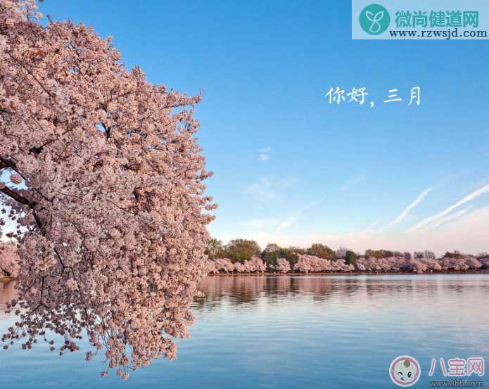 2月走了迎接3月的句子 迎接3月的带图心情说说