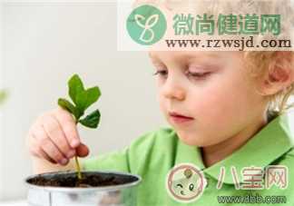 孩子房间放什么植物好 家里