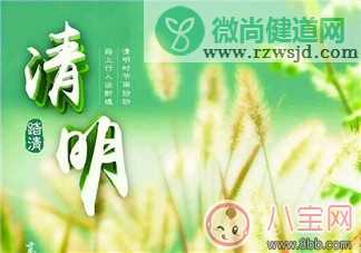 清明祭祖的寄语 2018关于清明祭祖后的感慨句子说说