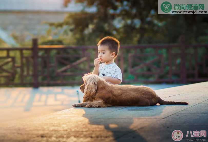 孩子长大了懂事了感言 孩子