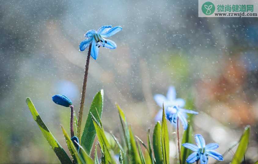 2018春雨过后好心情的说说 春雨后的空气让人欢喜的感慨句子说说