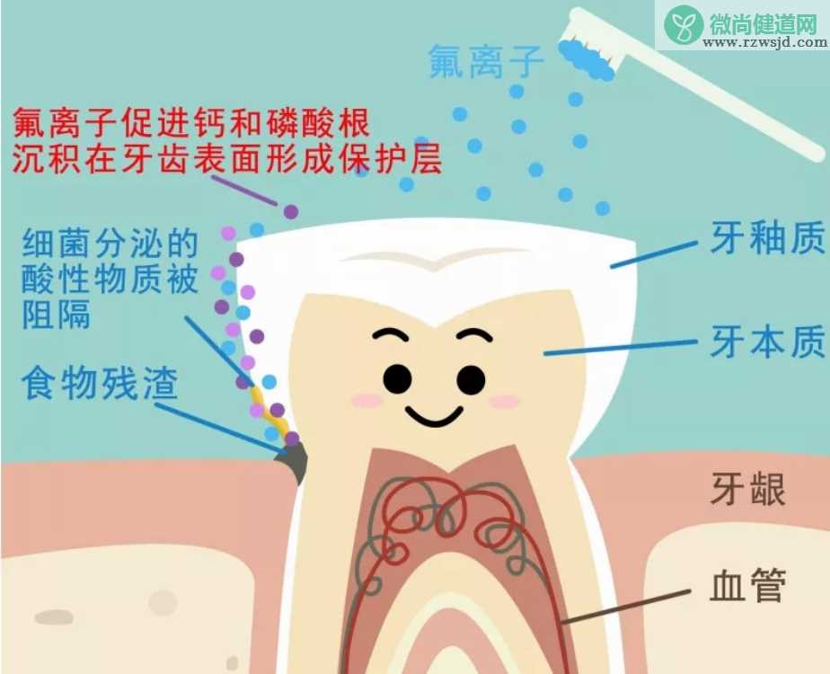 孩子用含氟牙膏会导致氟斑牙吗 3岁以下的孩子有必要用含氟牙膏吗