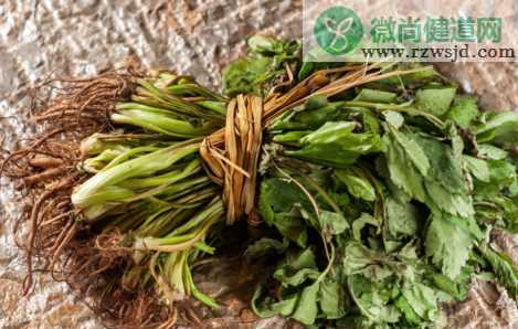 摘野菜住进ICU怎么回事 为什么吃野菜会中毒