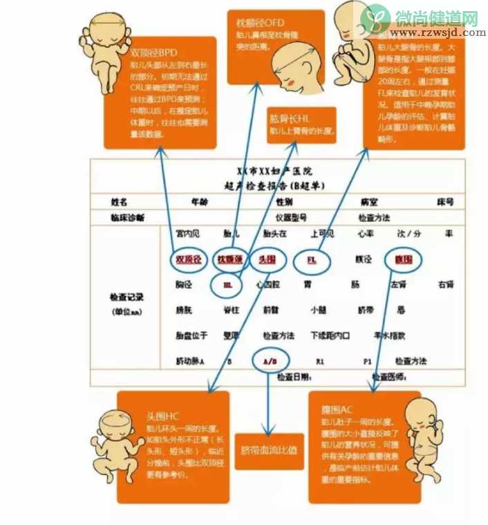 B超单上能看出打了几次胎吗 如何看孕期B超单