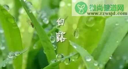 白露相关的古诗词 白露节气诗词赏析