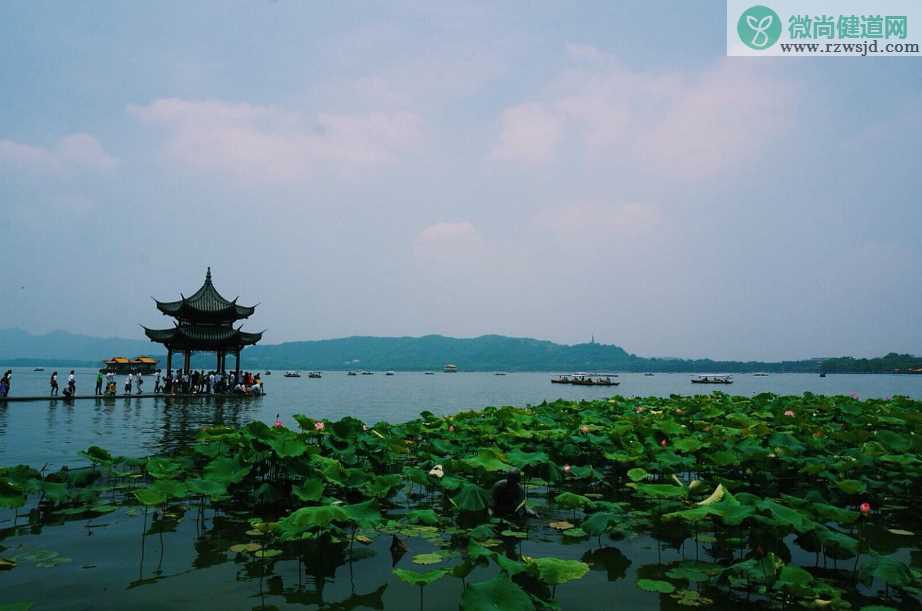 怀念夏天的说说 关于怀念夏