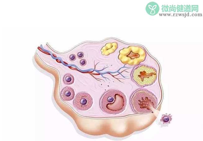 泌乳素正常范围是多少 泌乳素偏高有什么危害