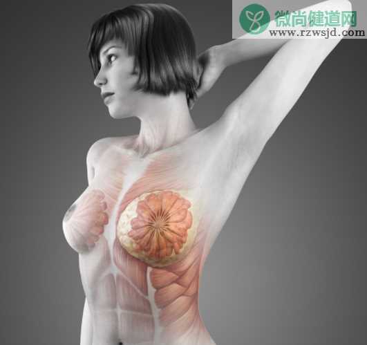 女性乳腺疾病有哪些症状 正