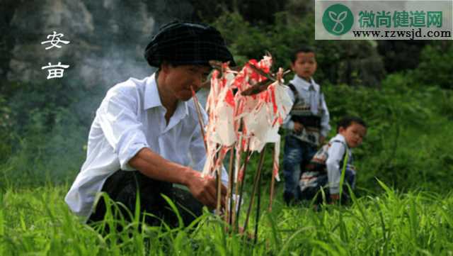 芒种开了铲什么意思 给孩子讲芒种的由来和风俗