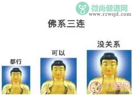 佛系的生活态度是什么意思 佛系的生活态度图片