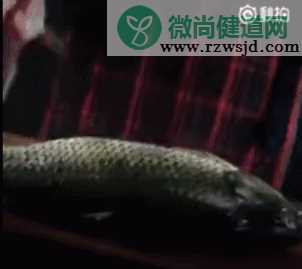 三生三世十里拉面是什么意思 三生三世十里拉面是什么梗